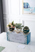 Unique Aunt Gifts  Best Ever Succulent Pots
